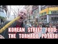 Korean Street Food: The Tornado Potato 