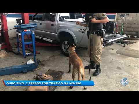 Ouro Fino: 60 kg of cocaine seized on MG-290