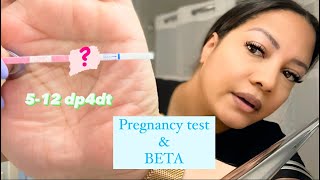Pregnancy Test after Embryo Transfer