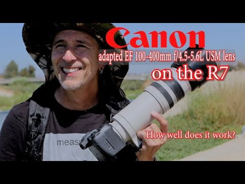 How well does the ORIGINAL Canon EF 100-400mm f/4.5-5.6L USM lens adapted to the Canon R7 work?