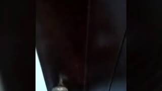 Download lagu BIKERSFUNNYGAESS*Ngintip Bang (BIFUN) Mandi Gaess mp3 Download lagu BIKERSFUNNYGAESS*Ngintip Bang (BIFUN) Mandi Gaess mp3