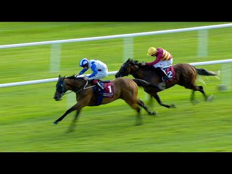 Melbourne Cup contender? CAMORRA impresses for Ger Lyons and Colin Keane in the Curragh Cup