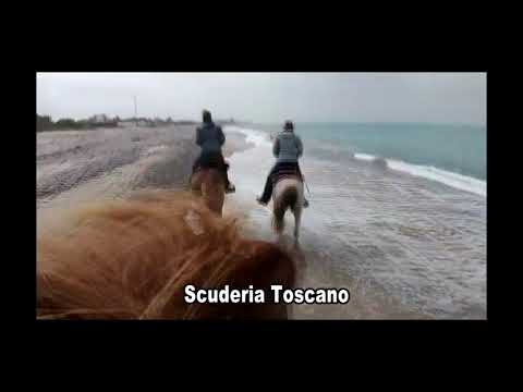 Galoppo in Spiaggia - Rossano - Calabria