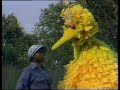Sesame Street 0959 Street Scenes The Gang Goes Camping