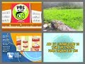 PBS Kids Program Break 2017 KAID