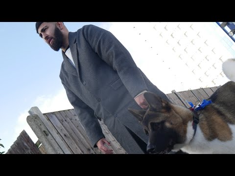 Rebelyous - Radar (Official Video)