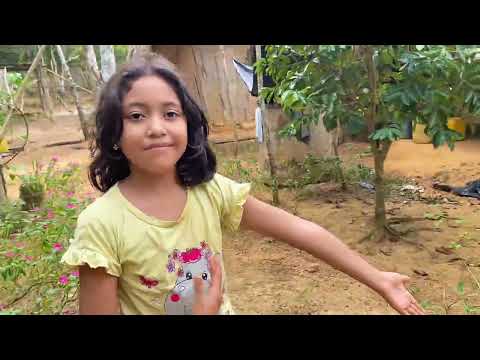 Vereda el templo , Ciénaga de oro - Córdoba 