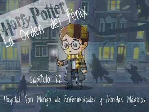 22 Hospital San Mungo De Enfermedades Y Heridas Magicas - Harry Potter La Orden Del Fenix