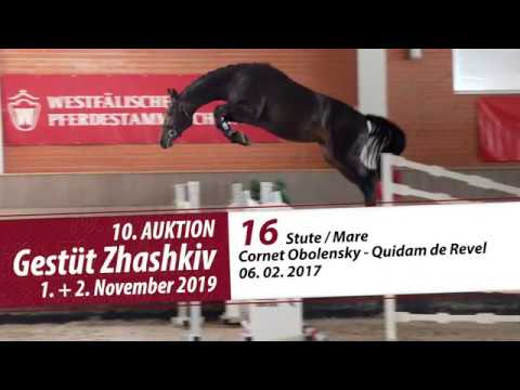 16 Stute / Mare v. Cornet Obolensky - Quidam de Revel
