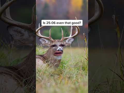 NEW Winchester Supreme Long Range… First Real Test (30-06)