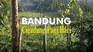 Download lagu Cigadung Bandung | Suasana Pagi yang Tenang mp3