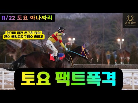 11/22 토요-윤택-경마 아나짜리 [선택과 집중]