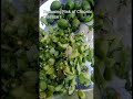 Eating Green Olives /Benefits of Olives/Benefits of Jalpai