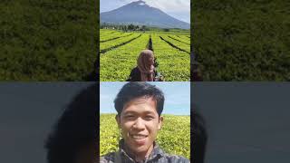 Download lagu aku, rosa dan kerinci mp3