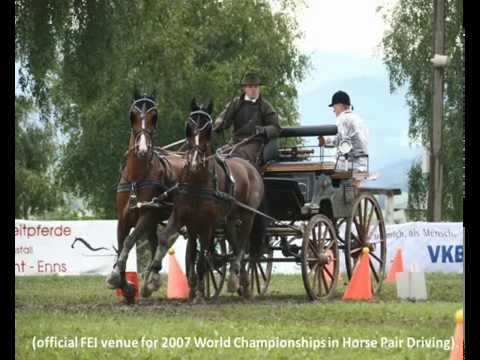 Hotel Sielanka nad Pilicą****
