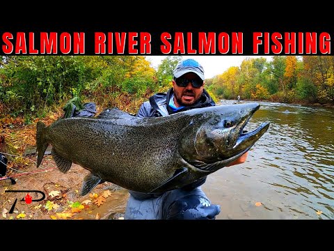 image-How many salmon rivers are there in Nova Scotia?