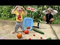 lily obediently helps dad harvest cucumbers in the garden