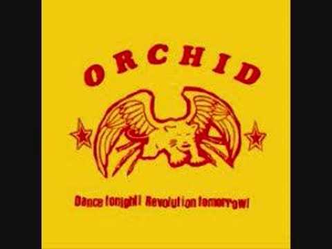Orchid - I am Nietzche