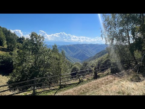 Platoul Luncanilor, Tarsa, Sept. 2023