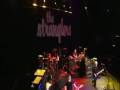 THE STRANGLERS GO BUDDY GO