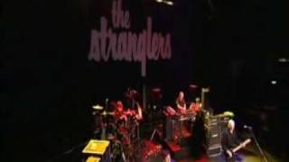 THE STRANGLERS GO BUDDY GO