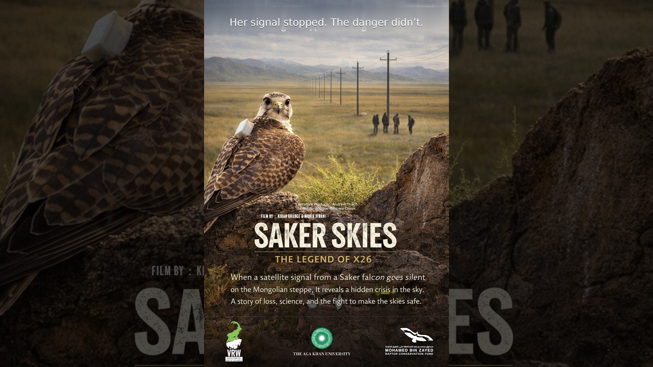 OFFICIAL TEASER - Saker Skies: The Legacy of X26