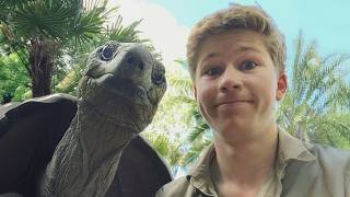 When Animals and Humans Become the Oddest Couples Ever 🤣