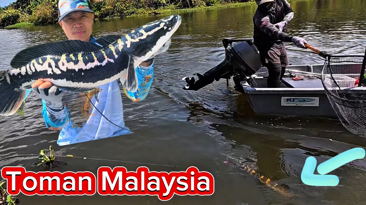Chinh Phục Thành Công Hugo Toman Malaysia Bằng Spiner Bait - Tập cuối