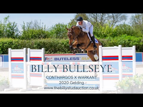 Billy Bullseye