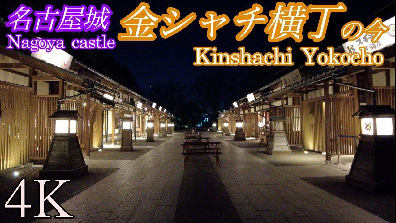 Discover a captivating glimpse of Kinshachi Yokocho.