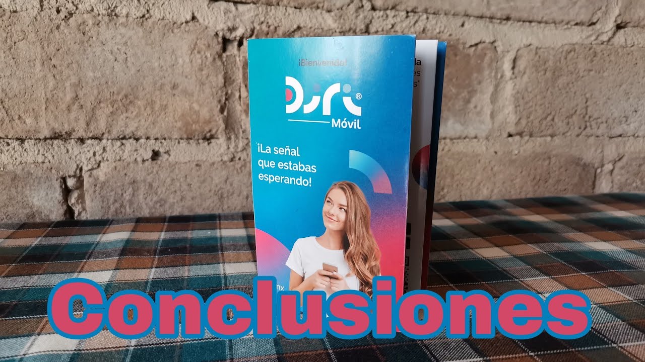 DIRI Mobile | My Conclusions