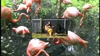 Lindsay Reamer – “Necessary”