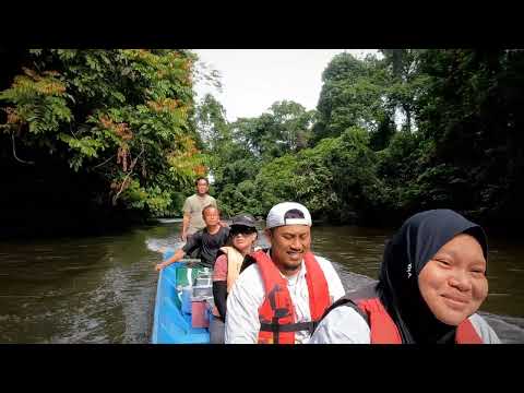 Let's Travel 2022 Mulu National Park Sarawak