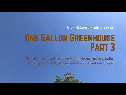 One Gallon Greenhouse Part 3
