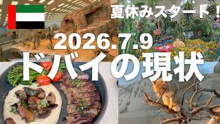 【ドバイ現状:7/9】中東情勢から131日…夏休み開始!蝶が飛び回る「どうぶつの森」のような世界へ!文化の首都シャルジャの屋内動物園はアラビア半島の野生動物が集結!絶品グルメ情報も!