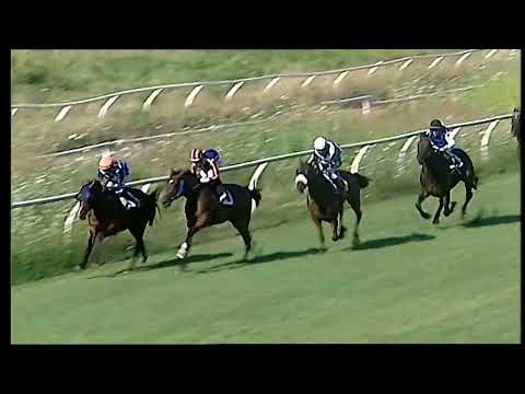 Napoli Galoppo 15/07/2022 - 2ª corsa