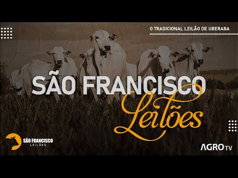 SÃO FRANCISCO LEILÕES - UBERABA-MG