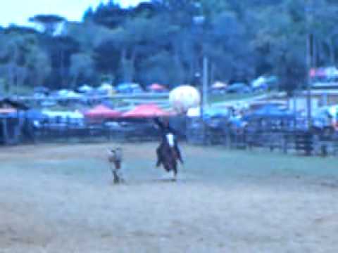 Mangueira Ceciliense