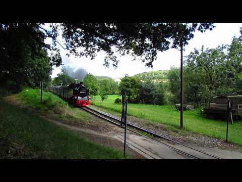 Rasender Roland I 99 1784-0 vor Seelvitz