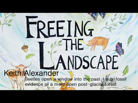 Knepp "Freeing the Landscape": Vera Talks - Keith Alexander