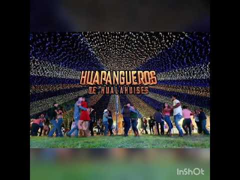 huapangueros de hualahuises- ay tavito🔥🎷