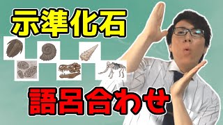 【中学理科】示準化石を一瞬で覚えようぜ～語呂合わせ～【中１理科】