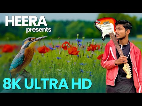 8k ultra HD NATURE video presented by HEERA #nature #heera #8k
