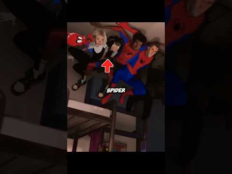 Did You Catch These Hidden Details In the Spider Verse Movies?