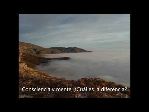 Consciencia y mente, cual es la diferencia