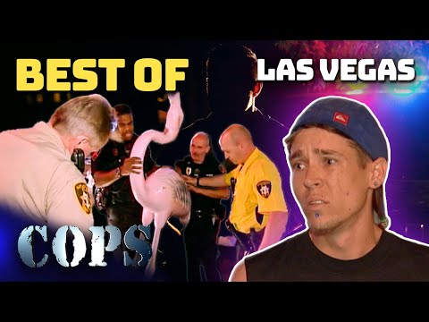 BEST OF Las Vegas 🦩 | COPS Wildest Moments | Compilation Part 1 | COPS TV