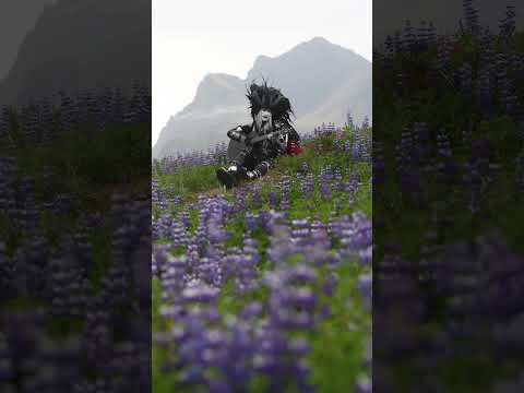 Dido - Thank you (in the lupine field)