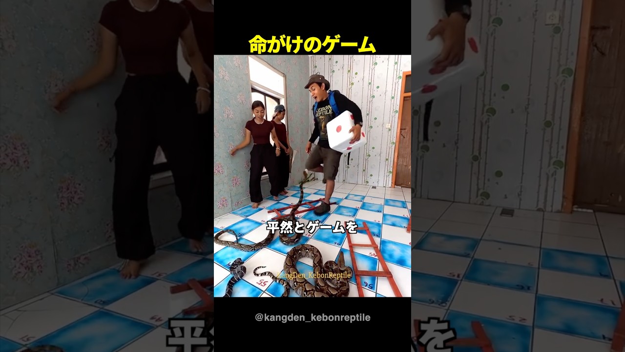 負けたら人生終了？海外で話題の「リアル版ヘビとはしご」が狂気