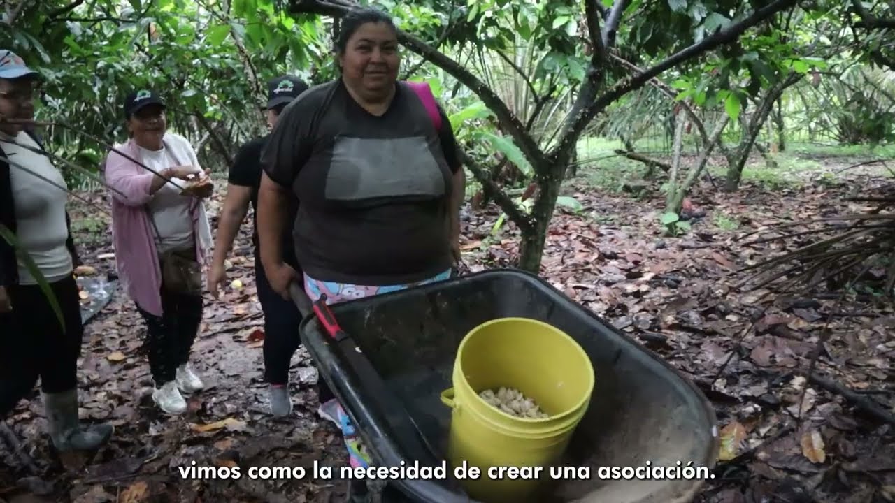Cacaoteras del Catatumbo (Apacdos) - #ProTierraCatatumbo