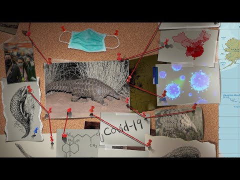 Coronavirus : pourquoi ne parle-t-on pas encore de pandémie ?